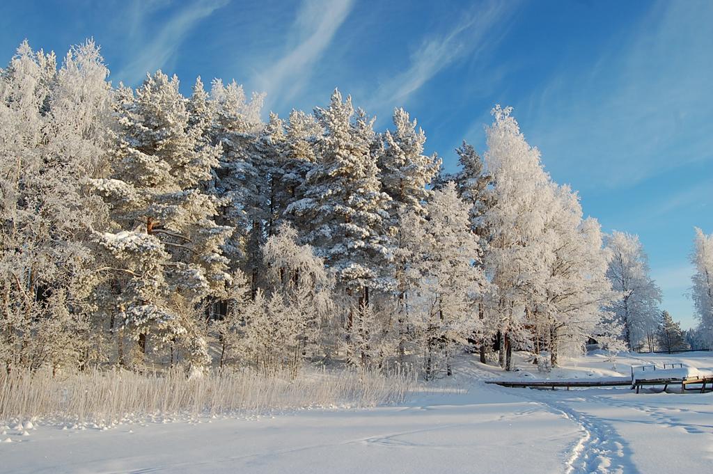 Lomasaaret Cottages Villala Екстер'єр фото